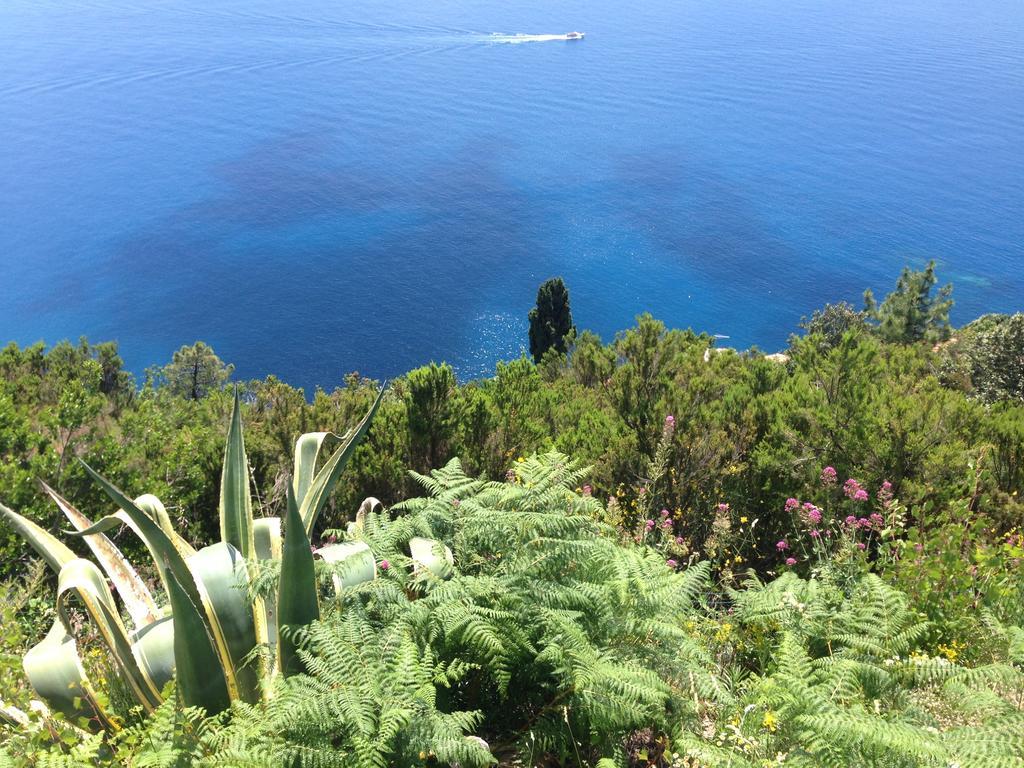 Il Casale Del Giglio Bed & Breakfast Santo Stefano di Magra Dış mekan fotoğraf